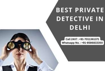 Detective in Delhi NCR