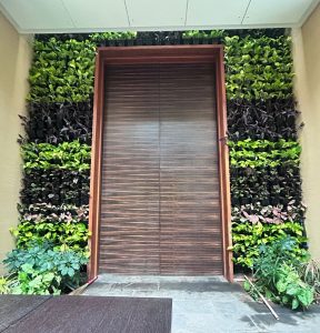 Natural Green Wall: Stylish & Sustainable Design