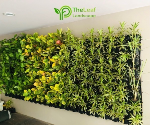 How Natural Vertical Garden Can Transform Your Space in 2025