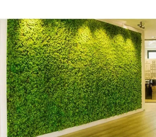 Use a Natural Preserved Moss Installer to Change Your Space