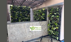 Natural Moss Provider Company