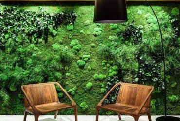 How Architects Use Natural Preserved Moss Sustainably