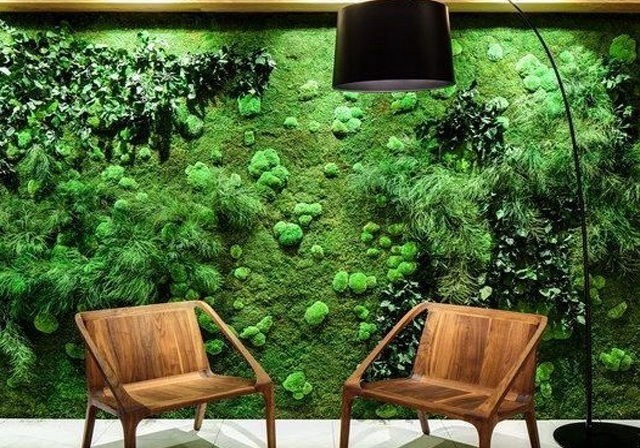Bring Nature Indoors with a Natural Preserved Moss Provider