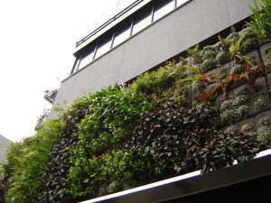 Natural Vertical Garden