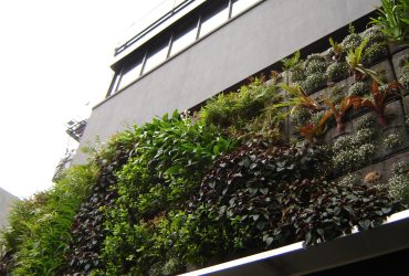 Natural Moss Provider Company for Sustainable Décor Lovers