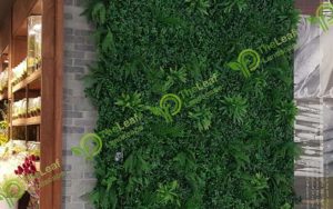 Natural Moss Provider