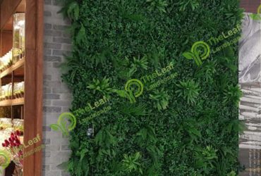 Natural Moss Provider | Buy Custom Moss Wall Art in India