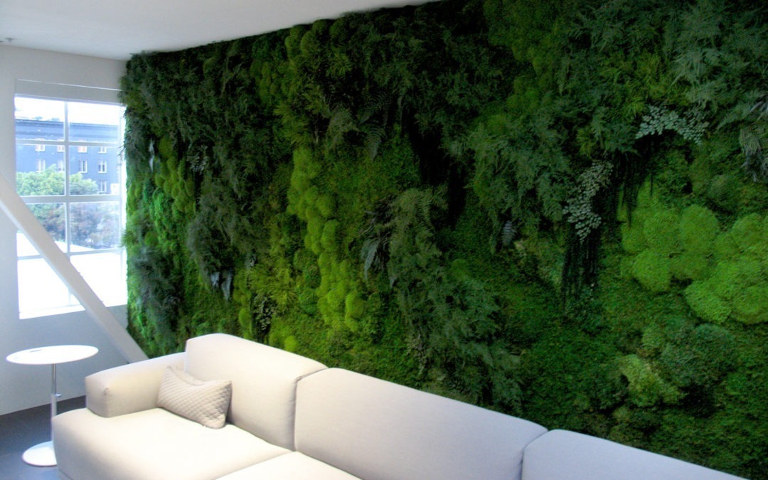Bring Nature Indoors with a Natural Preserved Moss Provider