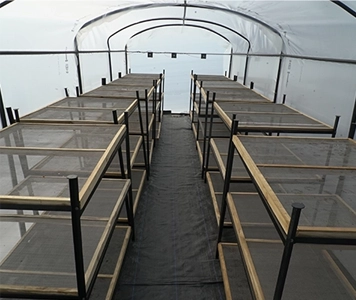 Raheja Solar Food Processing