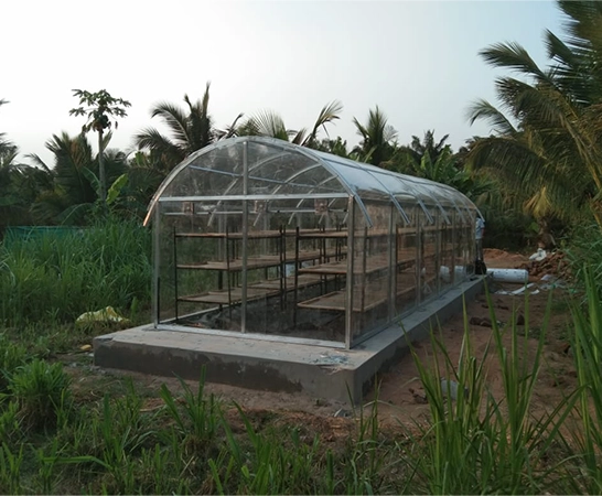 Raheja Solar Food Processing