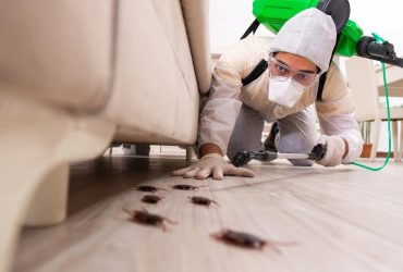 AJL Pest Control Management Company in Hyderabad