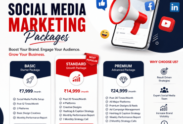 Professional SEO Service in Chandigarh | UV Soft Solutions Pvt. Ltd.